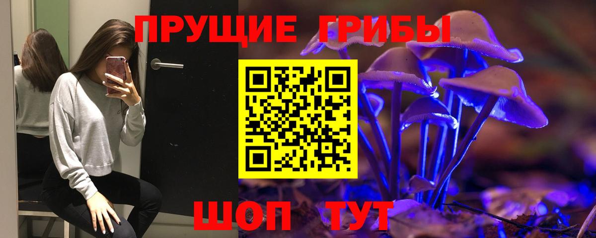 Псилоцибиновые грибы MAGIC MUSHROOMS Саранск